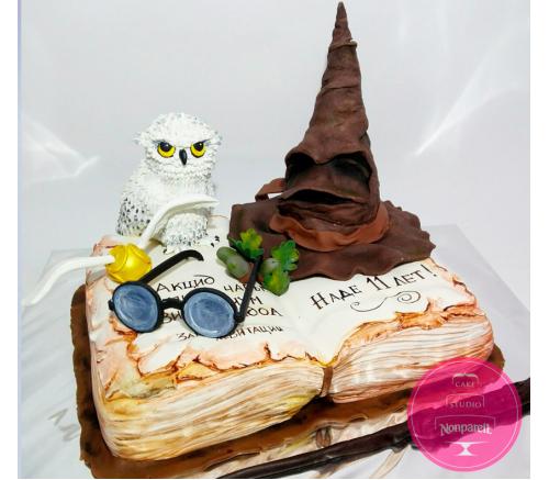 Торт Детский Гарри Поттер 4