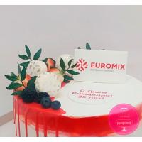 Торт Корпоративний для Euromix Торт Корпоративний для Euromix
