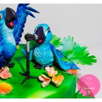 Торт Святковий Співаючі папуги