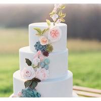Торт Свадебный С сукулентами 1