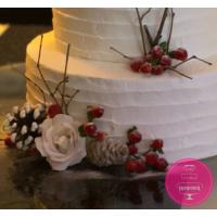 Торт Свадебный Зимний с шишками Торт Свадебный Зимний с шишками